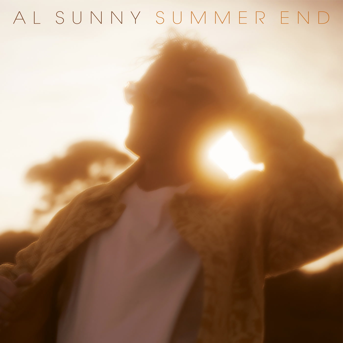 Al Sunny – Summer End (Legere)