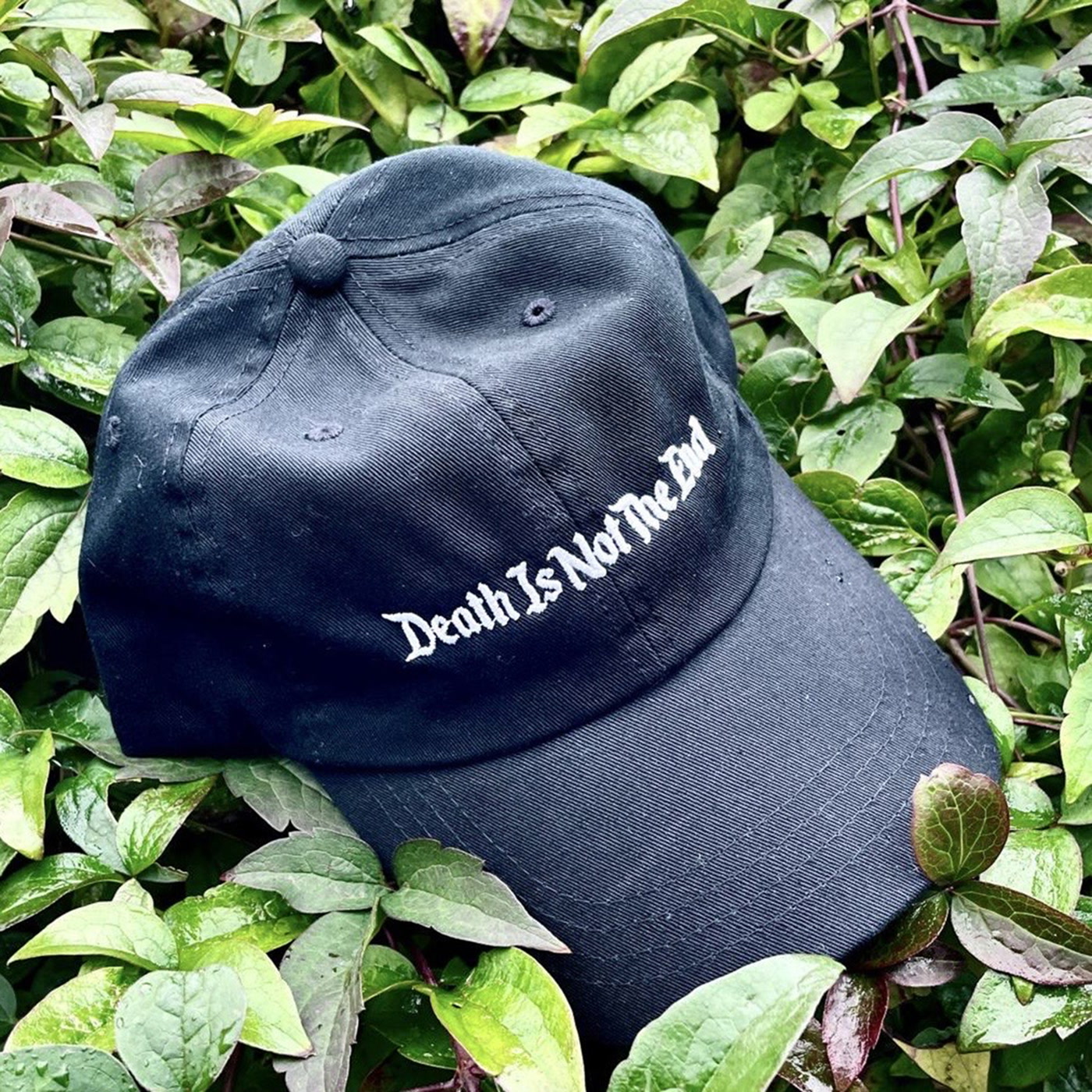 Death Is Not The End – Embroidered Classic Logo Cap (Death Is Not The End)