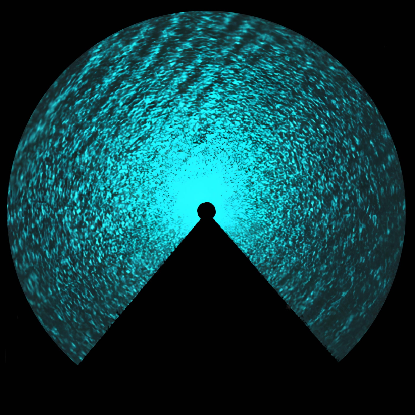 Extensa – Echomora (Gusstaff Records)