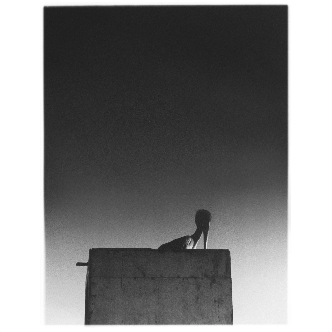 Ø (Mika Vainio) – Sysivalo (Sähkö Recordings)