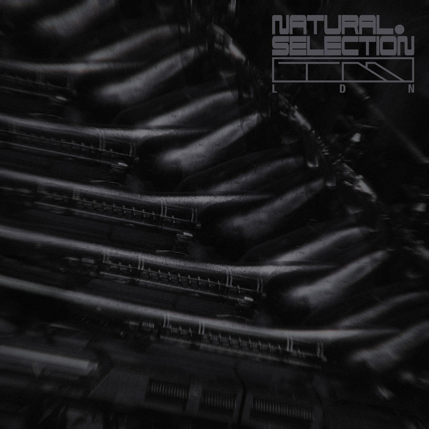 Swarm Intelligence – Radiance EP (Natural Selection)
